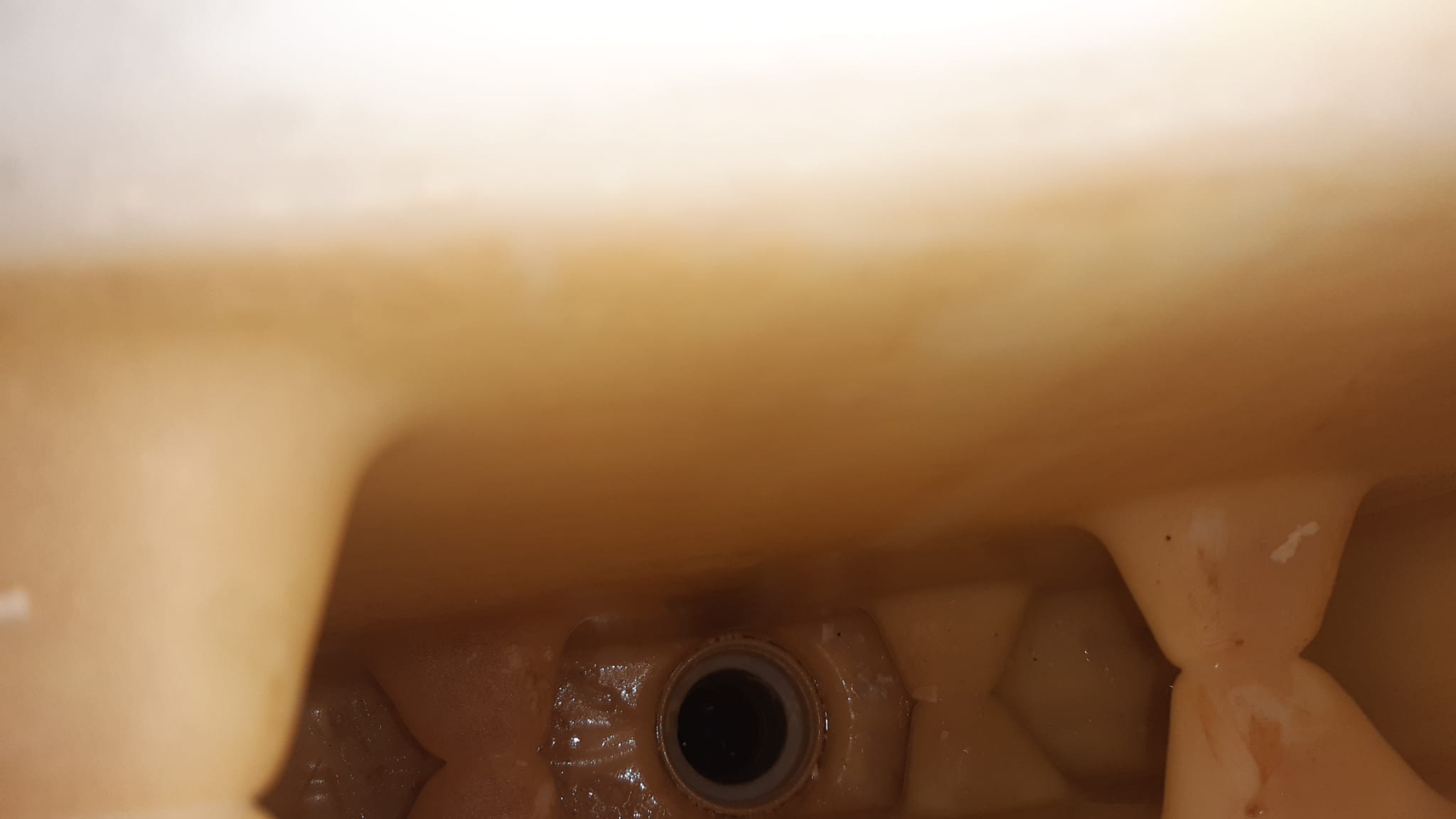 Immagine WhatsApp 2025-09-13 ore 12.46.08_395f6791.jpg