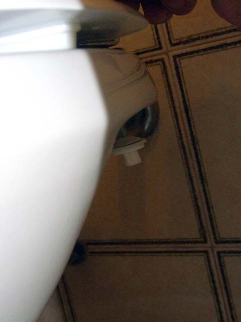 To remove the toilet seat, you must first remove the wing nuts that hold it in place.