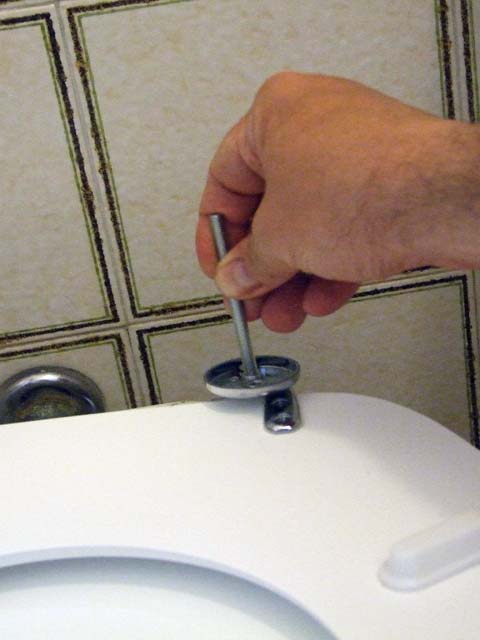 We screw the threaded pins onto the hinges of the toilet seat
