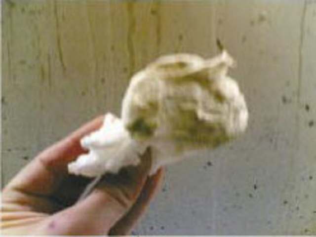 Cleaning wood before painting Cleaning wood before painting