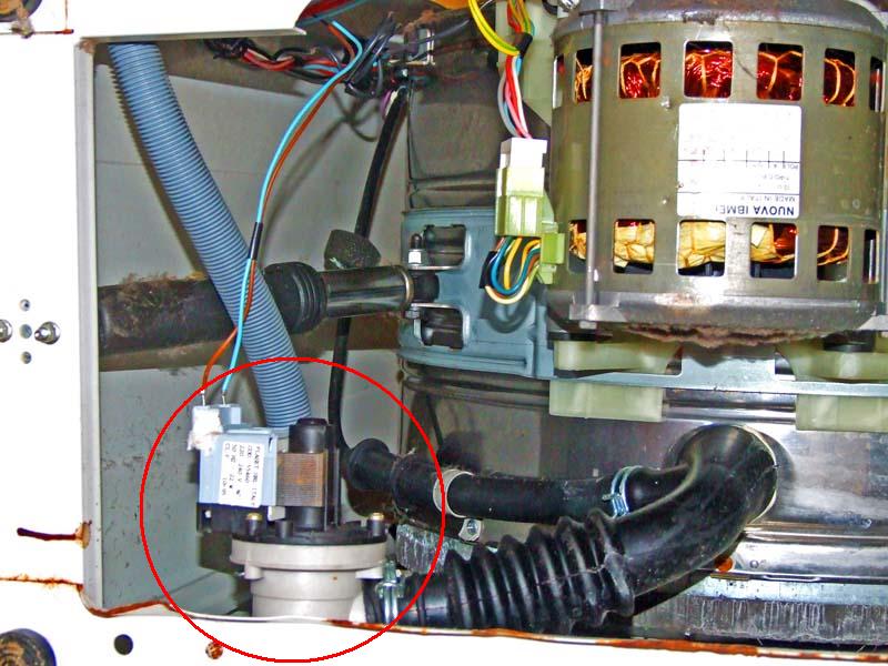 Dove si trova la pompa di scarico della lavatrice: posizione, fissaggio e procedura di smontaggio Vista inferiore della lavatrice inclinata con la pompa di scarico evidenziata da un cerchio rosso in basso a sinistra, con il motore, i tubi di collegamento e i fili di alimentazione visibili