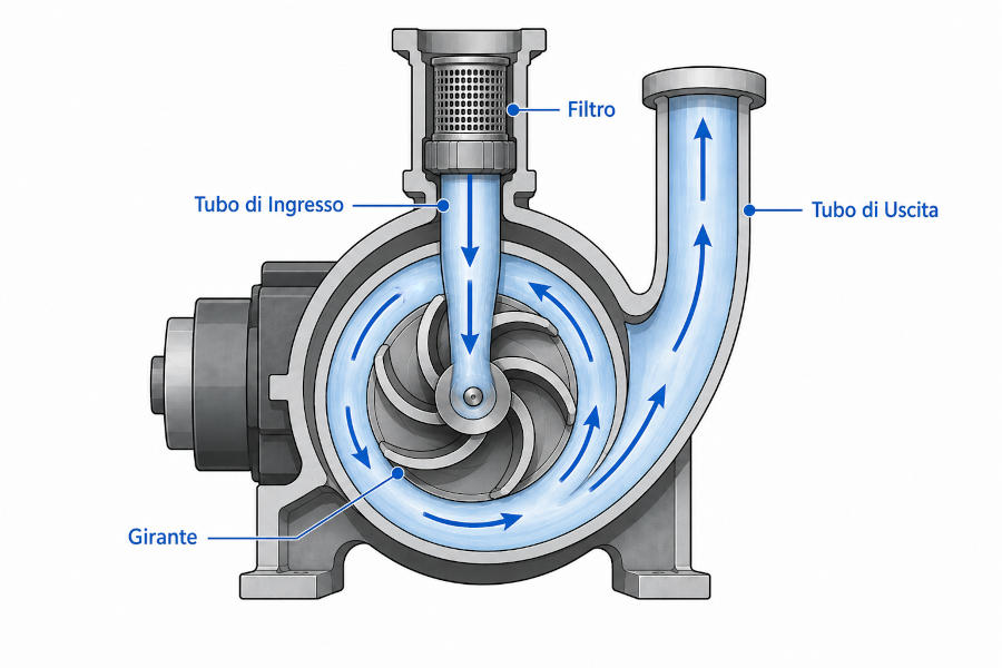 Schema di funzionamento della pompa di scarico centrifuga della lavatrice: girante, filtro e flusso dell'acqua Schema in sezione di una pompa centrifuga con girante, tubo di ingresso, tubo di uscita e filtro evidenziati con frecce che indicano il flusso dell'acqua